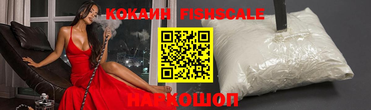 Cocaine FishScale  Вход с VPN  Cocaine Fish Scale  Вязьма 
