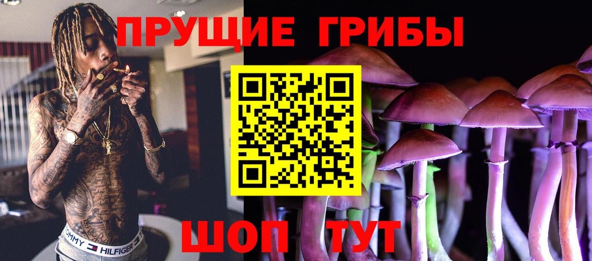 Галлюциногенные грибы GOLDEN TEACHER Вязьма