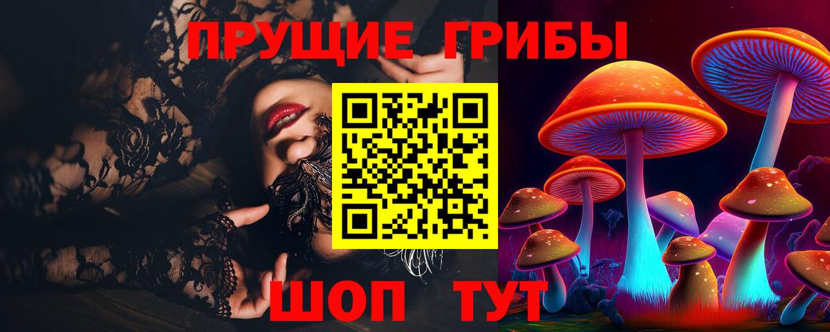 Вязьма  Галлюциногенные грибы Psilocybine cubensis  Псилоцибиновые грибы мухоморы  Вход с VPN 
